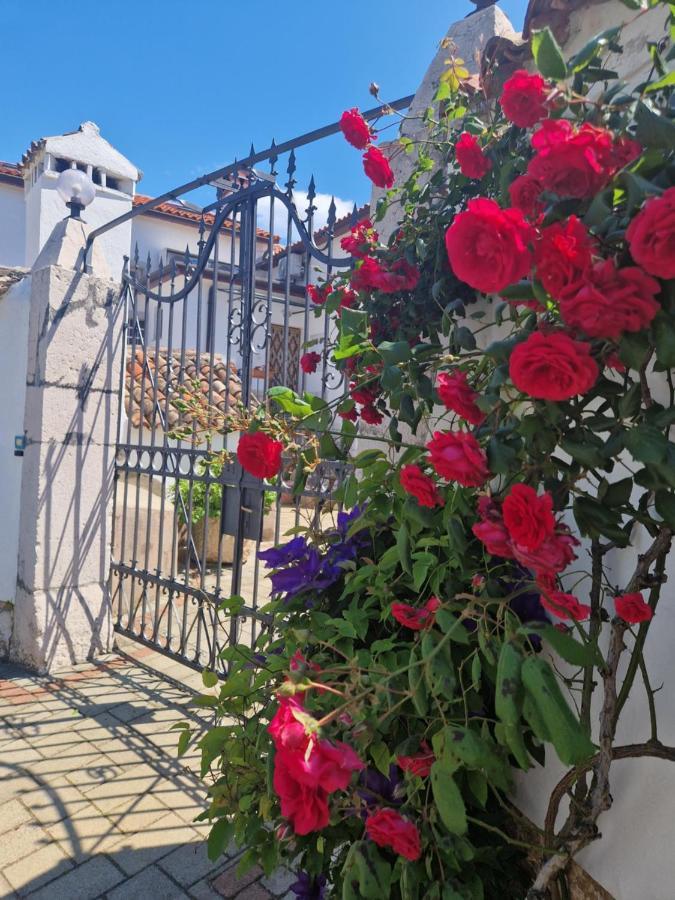 Guesthouse Villa Galovic Brseč Екстериор снимка