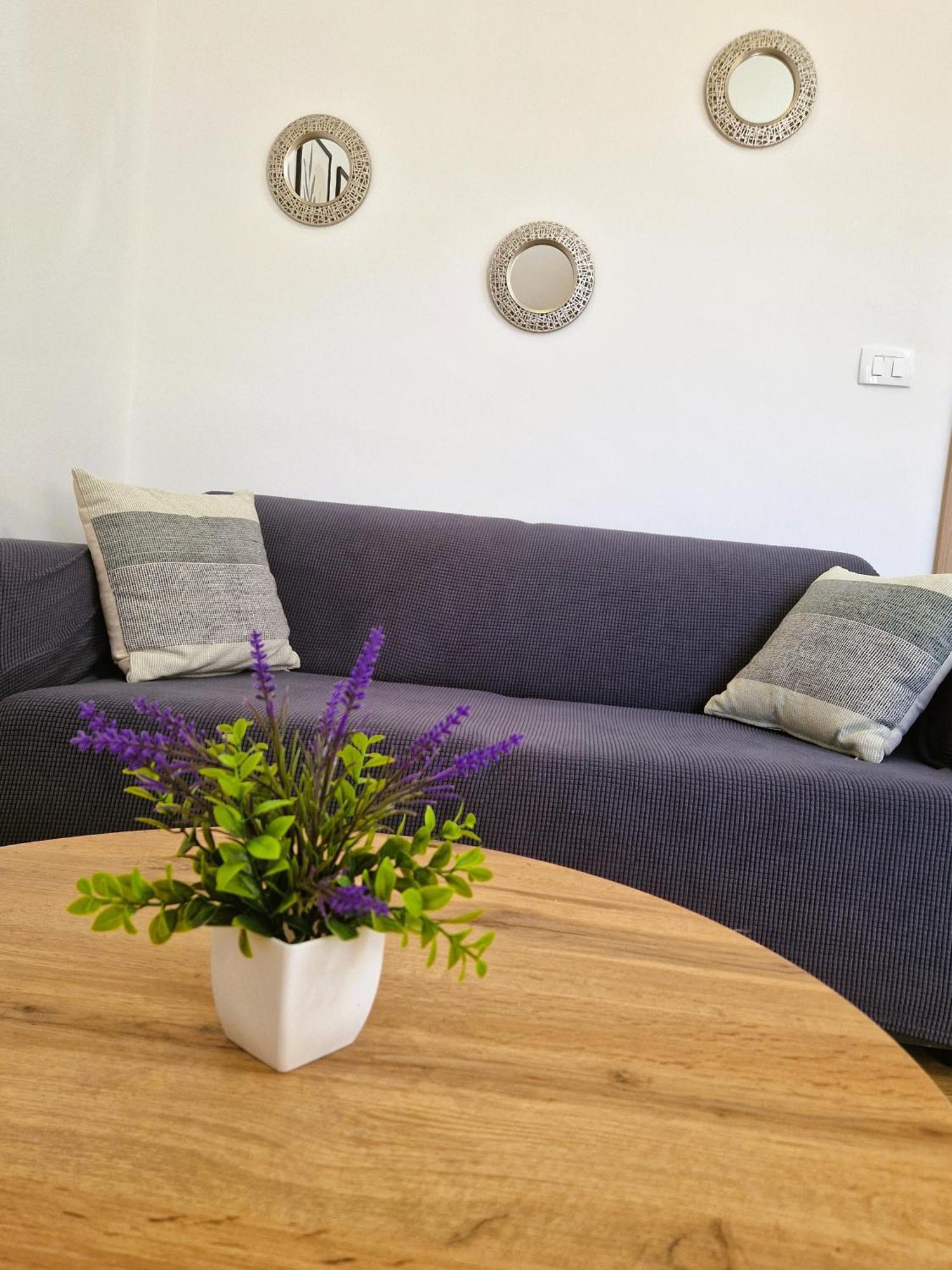 Guesthouse Villa Galovic Brseč Стая снимка